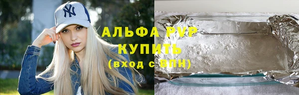 гашик Алексин