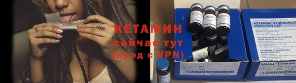 гашик Алексин