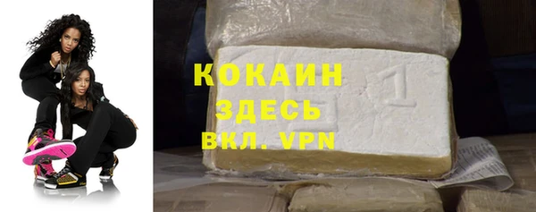 гашик Алексин